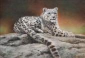 GAYLE FRANCES, SNOW LEOPARD, A