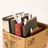 GB & All World Stamps Box of 6