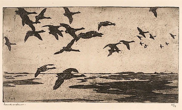 Geese Against the Sky by Frank