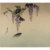 GEKKO OGATA - WISTERIA AND CAR