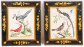 GEO. EDWARDS ORNITHOLOGICAL CO