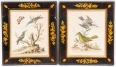 GEO. EDWARDS ORNITHOLOGICAL CO