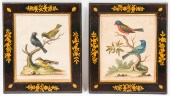 GEO. EDWARDS ORNITHOLOGICAL CO