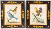 GEO. EDWARDS ORNITHOLOGICAL CO