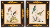 GEO. EDWARDS ORNITHOLOGICAL CO