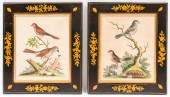 GEO. EDWARDS ORNITHOLOGICAL CO