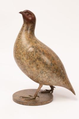 Geoffrey Dashwood (born