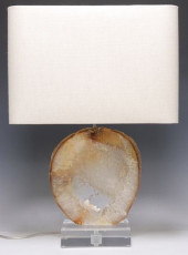 GEOLOGICAL AGATE SLICE 1-LT TA