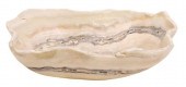 GEOLOGICAL NATURAL EDGE ORGANI
