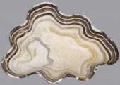 GEOLOGICAL NATURAL EDGE ORGANI