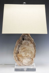 GEOLOGICAL PETRIFIED WOOD 1-LT