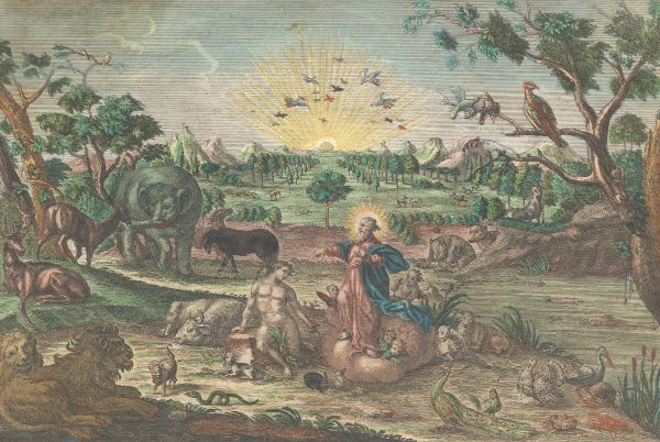 GEORG BALTHASAR PROBST (GERMAN, FL.