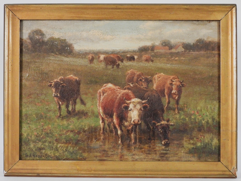 GEORGE A. HAYS RHODE ISLAND GRAZING