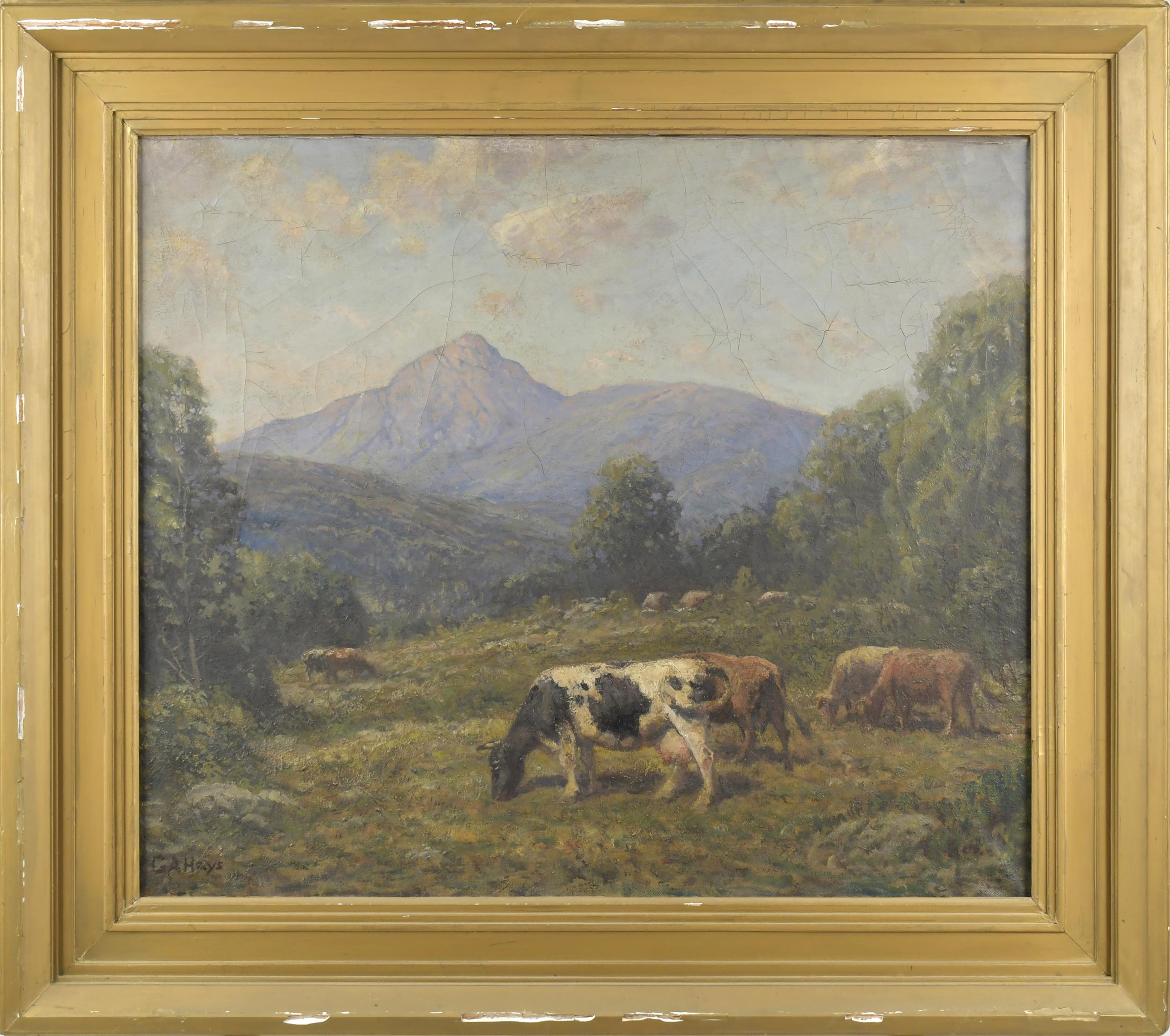 GEORGE ARTHUR HAYS OIL, COWS IN