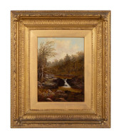 GEORGE BATES FOREST LANDSCAPE