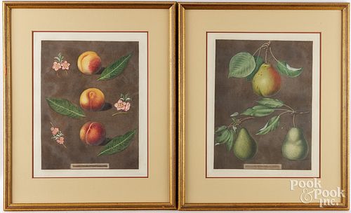 GEORGE BROOKSHAW FRUIT AQUATINTSTwo