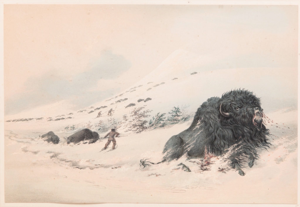 GEORGE CATLIN, PRINT "DYING
