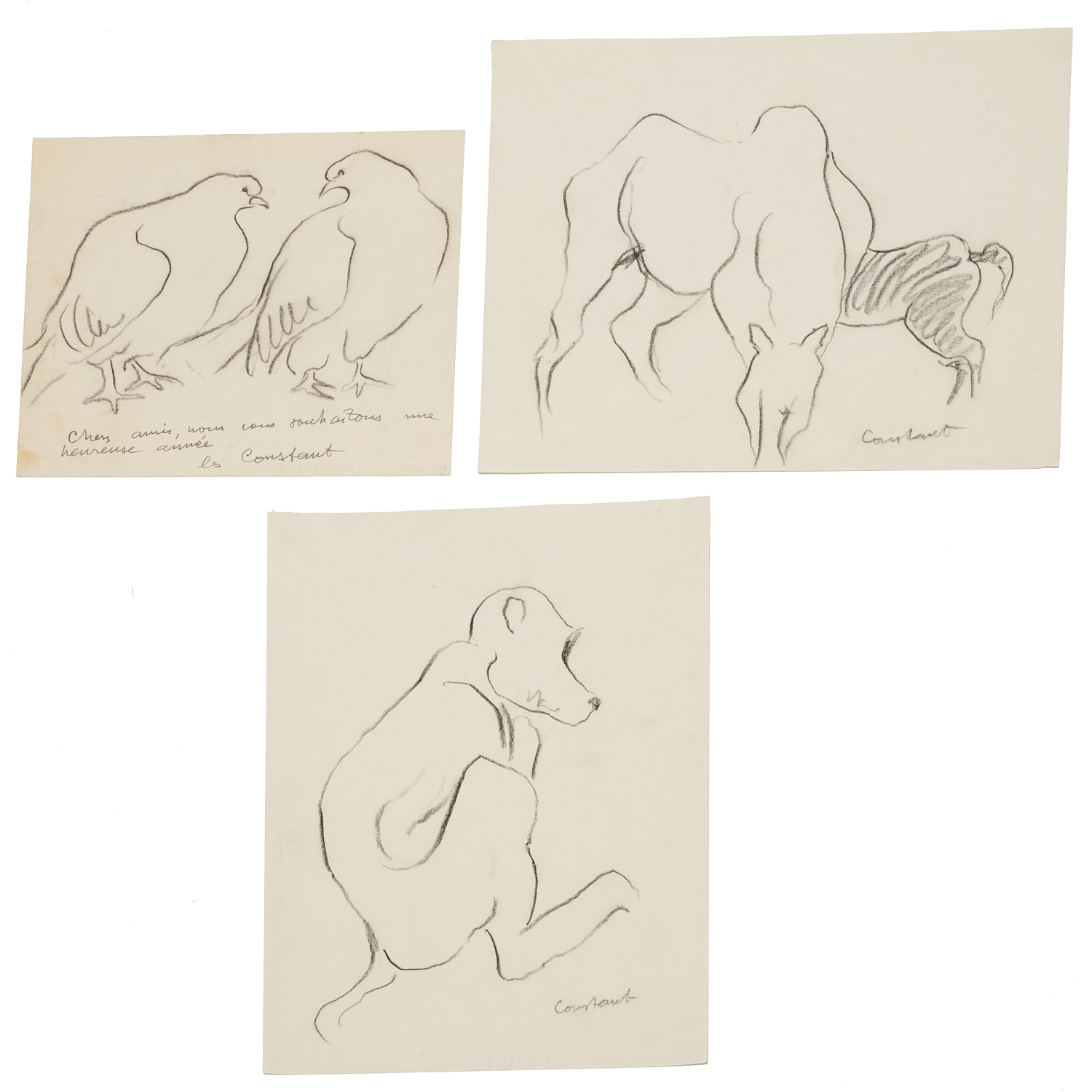 GEORGE CONSTANT, (3) ANIMAL