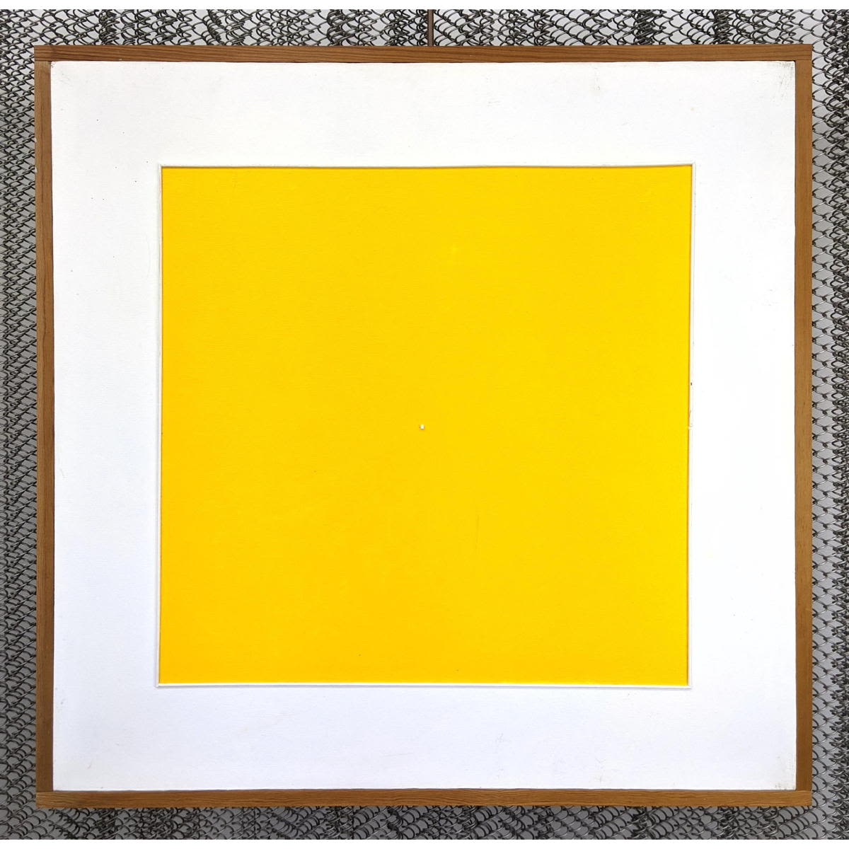 GEORGE D'AMATO Minimalist Oil