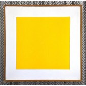 GEORGE D'AMATO Minimalist Oil