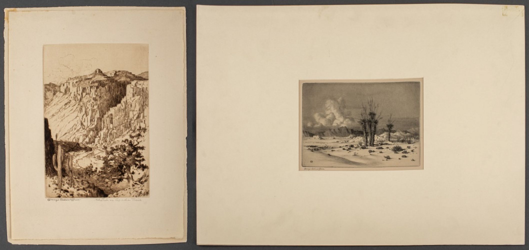 GEORGE ELBERT BURR ARIZONA