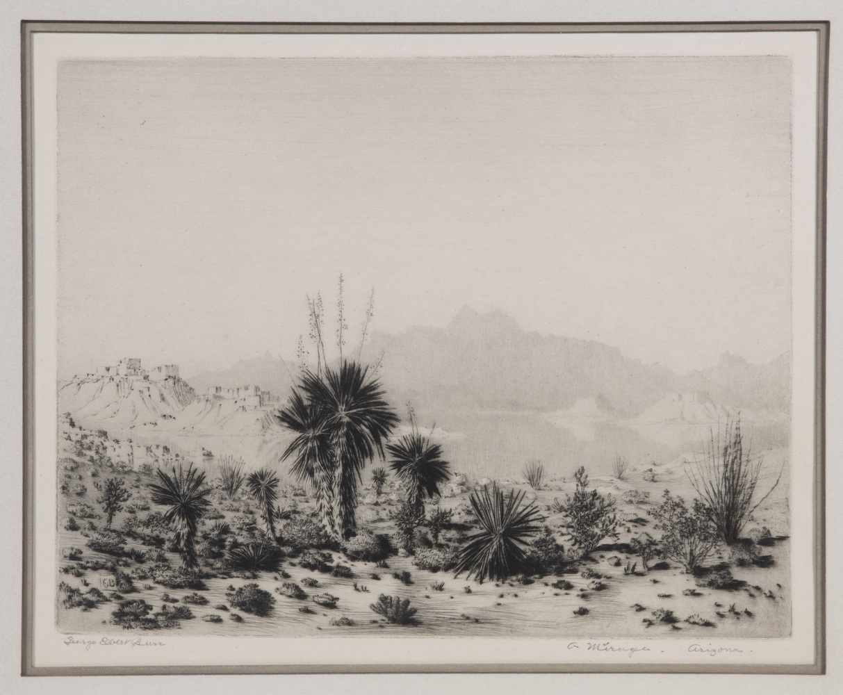 GEORGE ELBERT BURR (CO/AZ,
