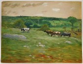 GEORGE HAYS SUMMER MEADOW LAND