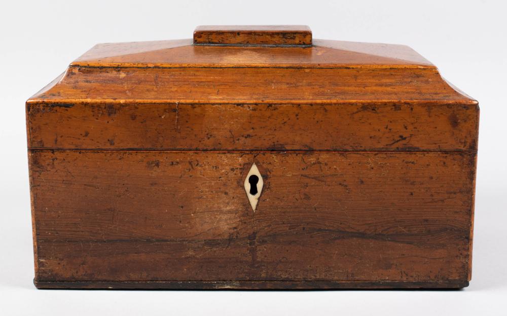 GEORGE III MAHOGANY SARCOPHAGUS TEA