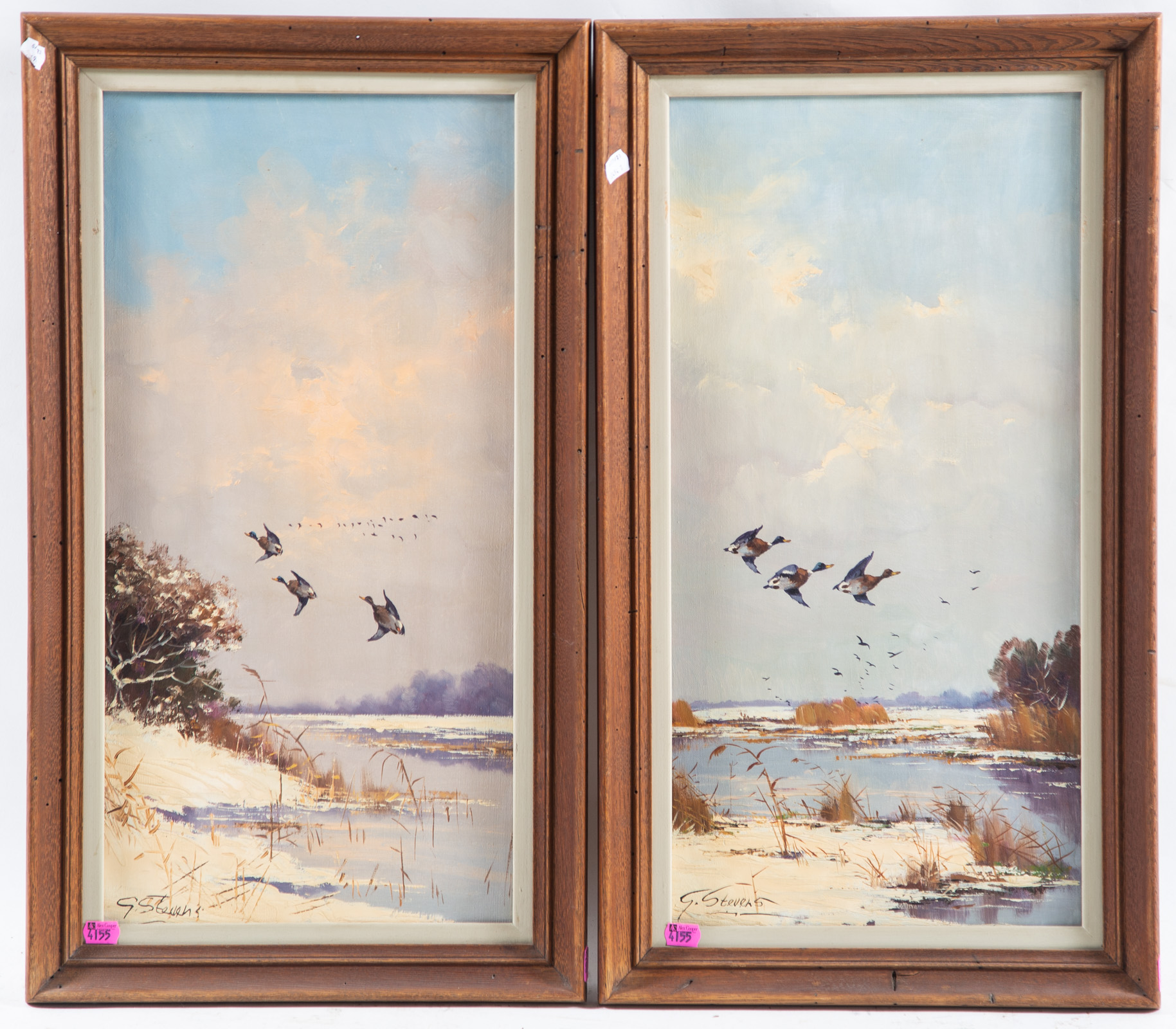GEORGE STEVENS. MALLARDS IN FLIGHT,