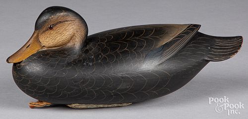 GEORGE STRUNK BLACK DUCK