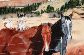 GEORGE STUMPFF, HORSES BARBED