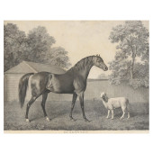 GEORGE TOWNLEY STUBBS (ENGLISH