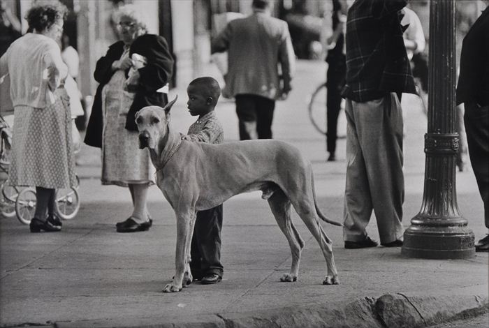 GEORGE ZIMBEL (b. 1929): BOY AND