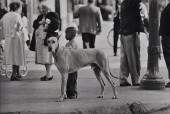 GEORGE ZIMBEL (b. 1929): BOY A
