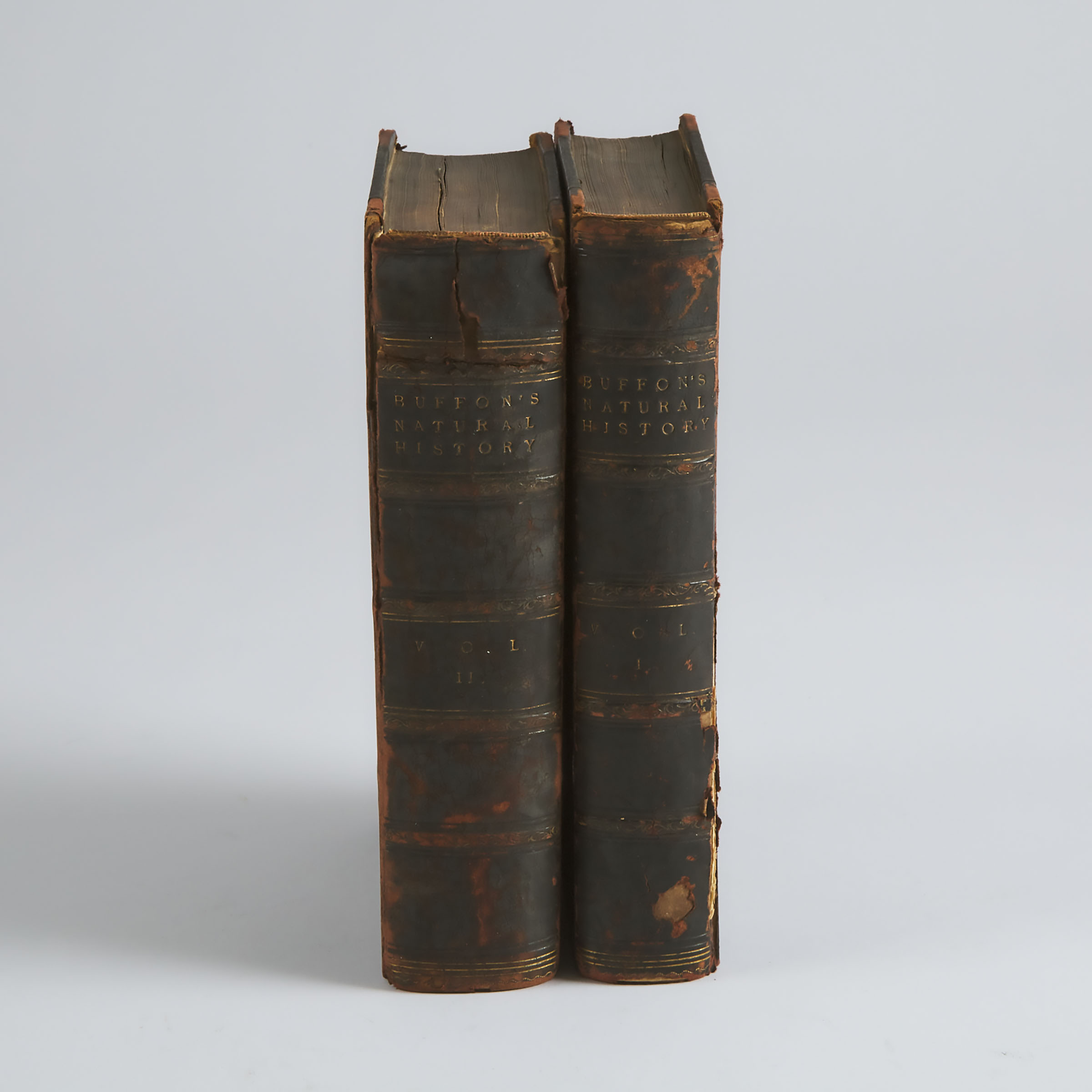 Georges-Louis Leclerc, Comte de