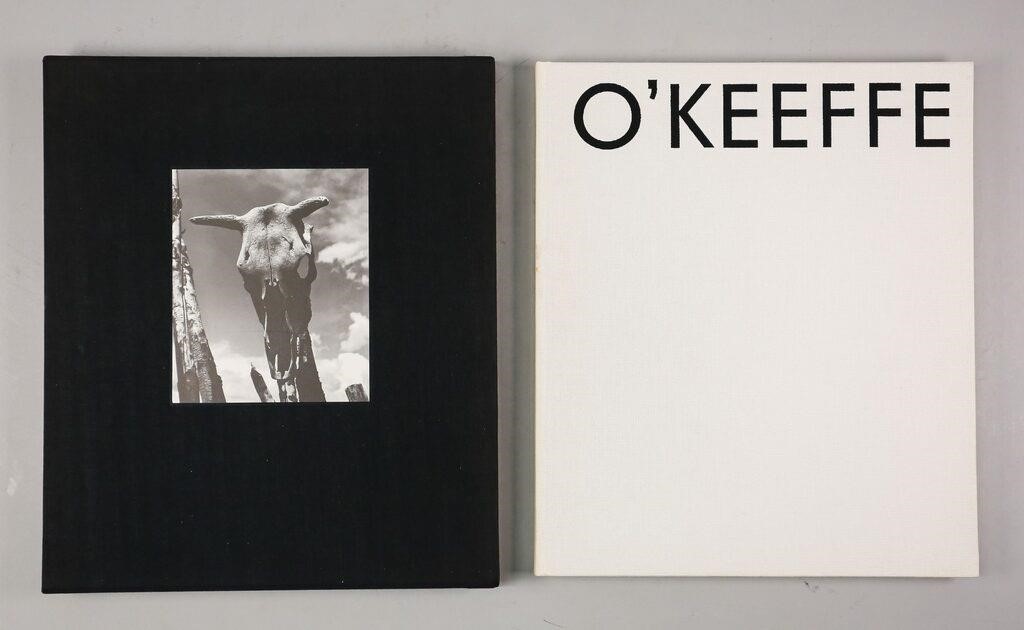 GEORGIA O'KEEFFE: THE ARTIST'S