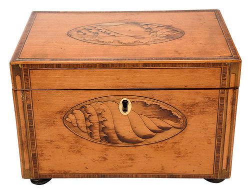 GEORGIAN SATINWOOD SHELL INLAID TEA