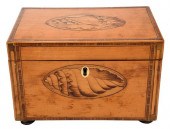 GEORGIAN SATINWOOD SHELL INLAI