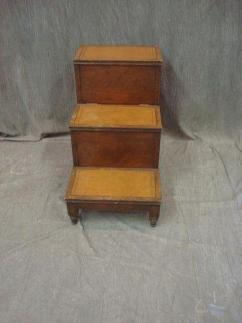 Georgian Style Leather Top Steps.