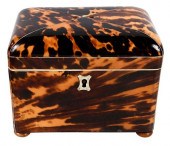 GEORGIAN TORTOISESHELL AND IVO