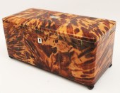 GEORGIAN TORTOISESHELL TEA CAD