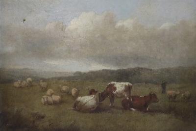 Gerard Bilders/Cattle, Sheep and