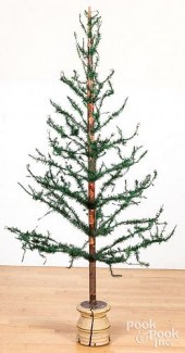 GERMAN FEATHER TREEGerman feat
