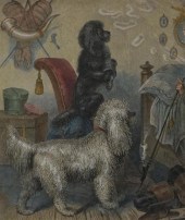 GERMAN POODLES, COLOR ENGRAVIN
