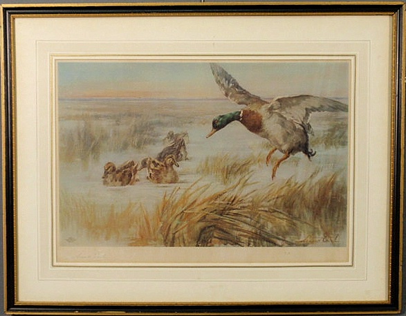 German print of mallard ducks