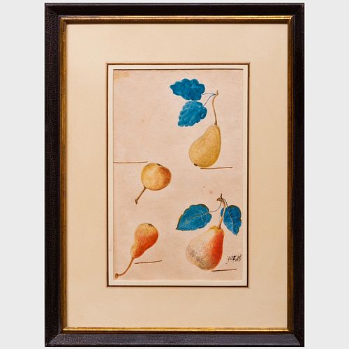 GERMAN SCHOOL: APPLES AND PEARS: