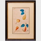 GERMAN SCHOOL: APPLES AND PEAR