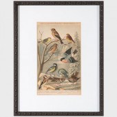 GERMAN SCHOOL: GROUP OF SIX OR