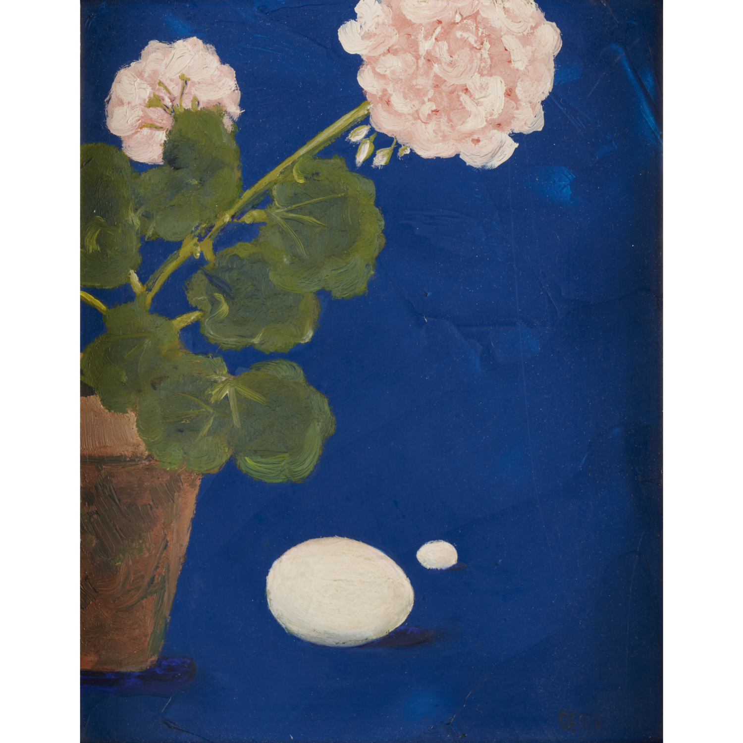 GERTRUDE VANDERBILT WHITNEY CONNER,
