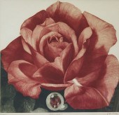 G.H. ROTHE (AMERICAN EARLY 20T